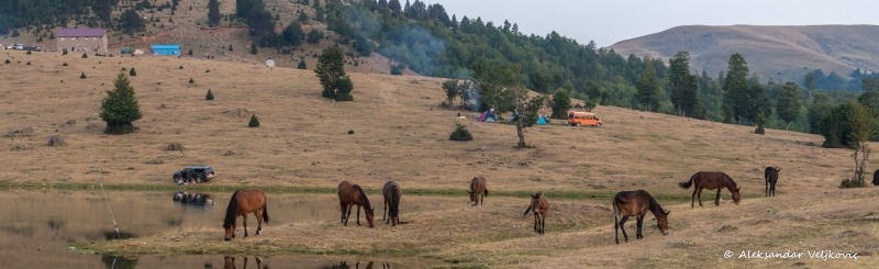 DSC_7701-Pano