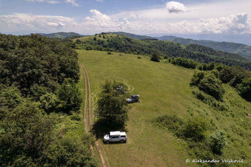 DJI_0865