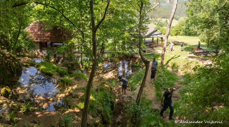 DSC_2092-Pano