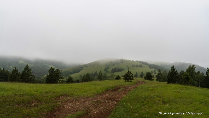 DSC_2121-Pano