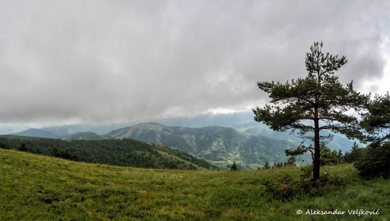 DSC_2199-Pano-Edit