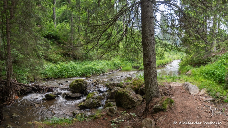 DSC_2243-Pano