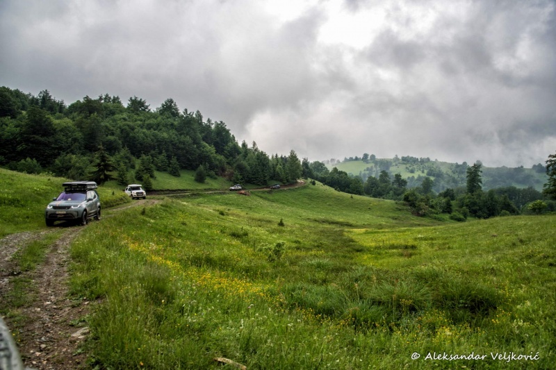 DSC_2253-Edit