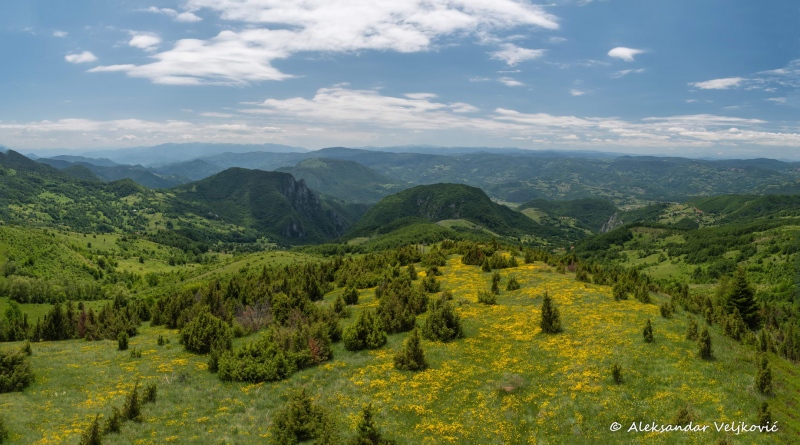 DSC_2340-Pano