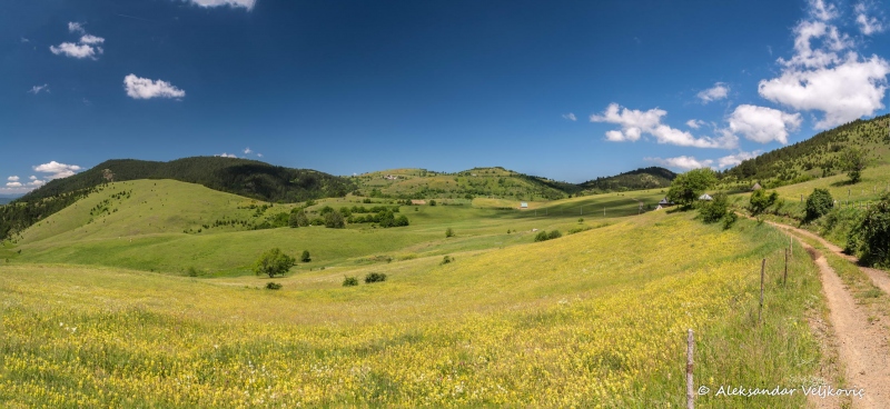 DSC_2389-Pano