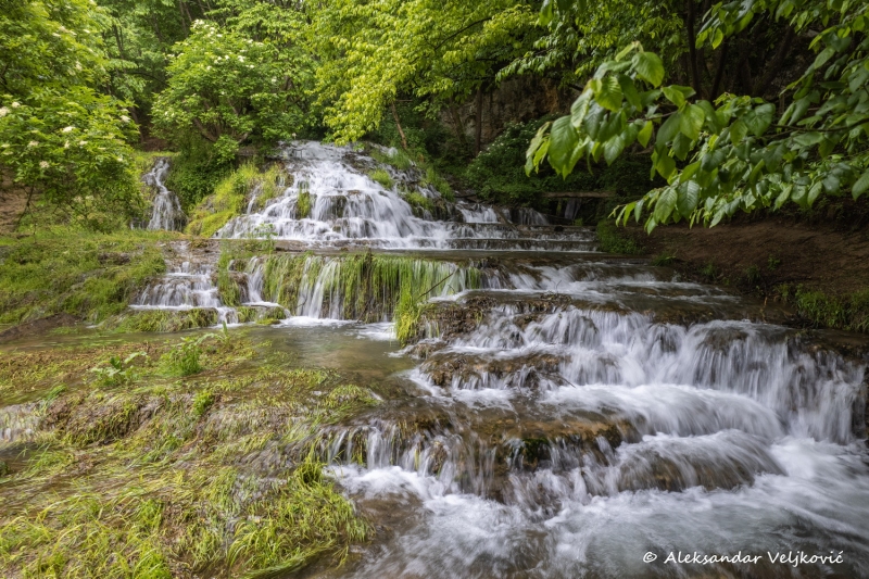 DJI_0558