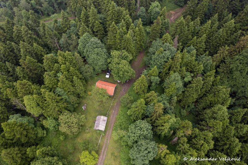 DJI_0613