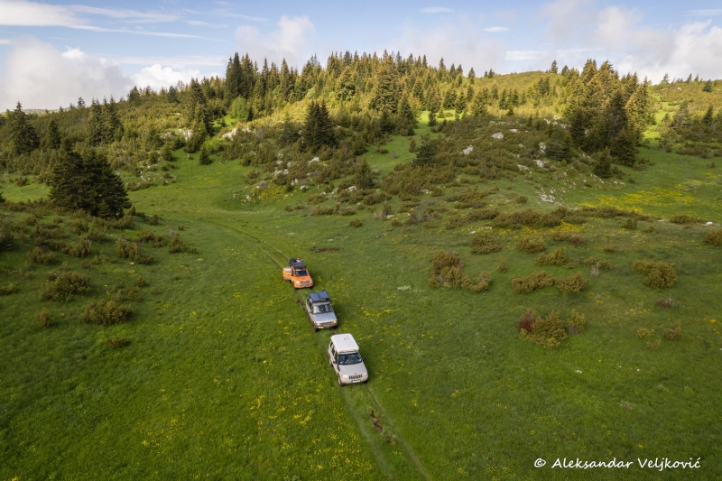DJI_0733