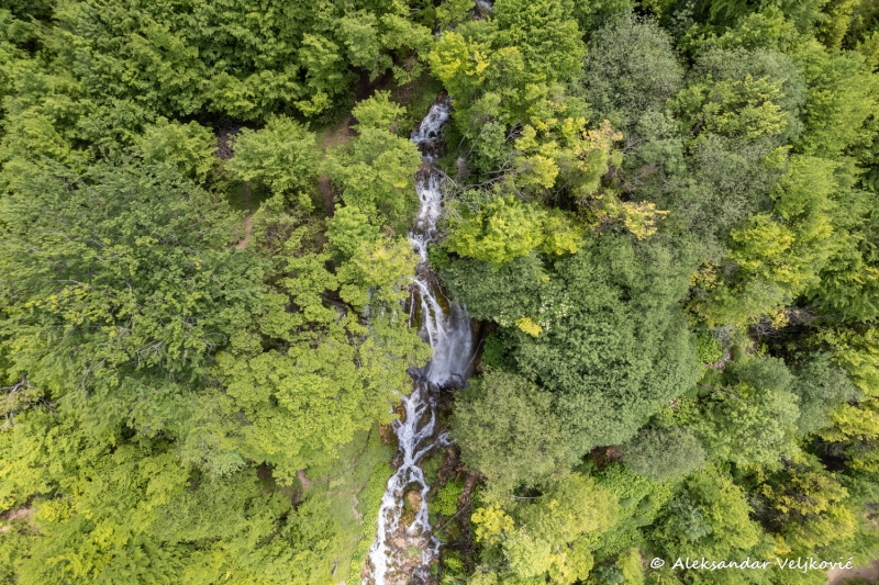 DJI_0742