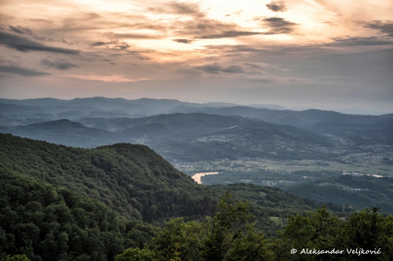 DSC_7768-Edit