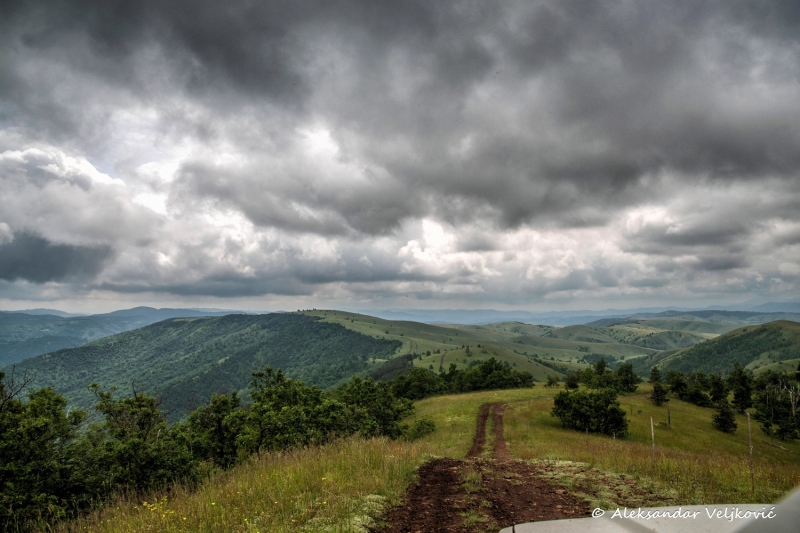 DSC_7878-Edit