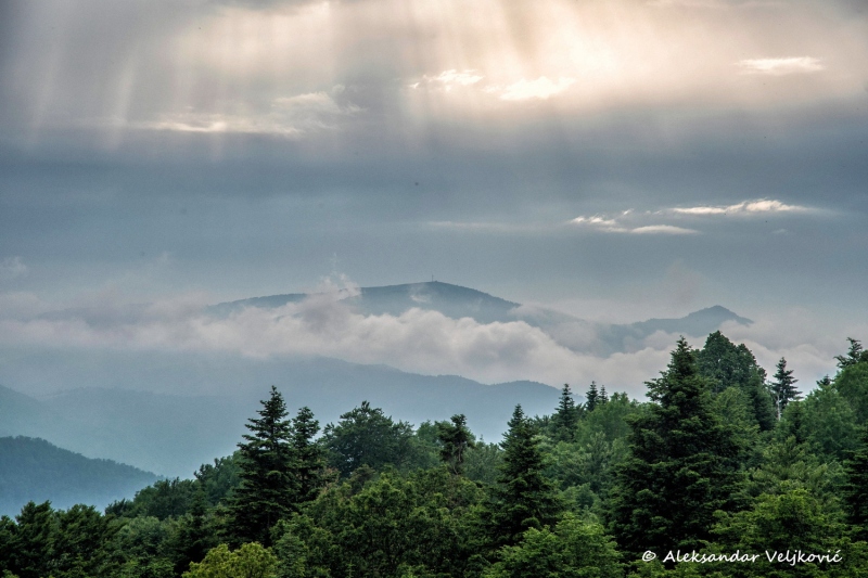 DSC_7900-Edit