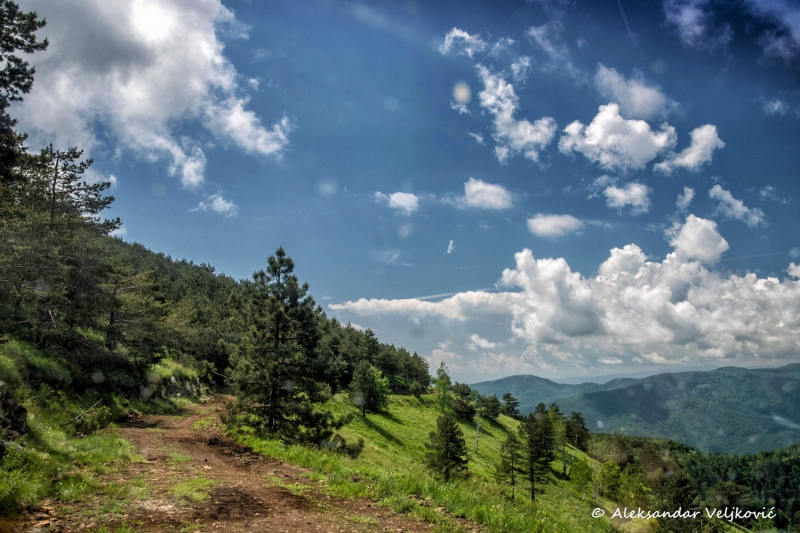 DSC_7918-Edit