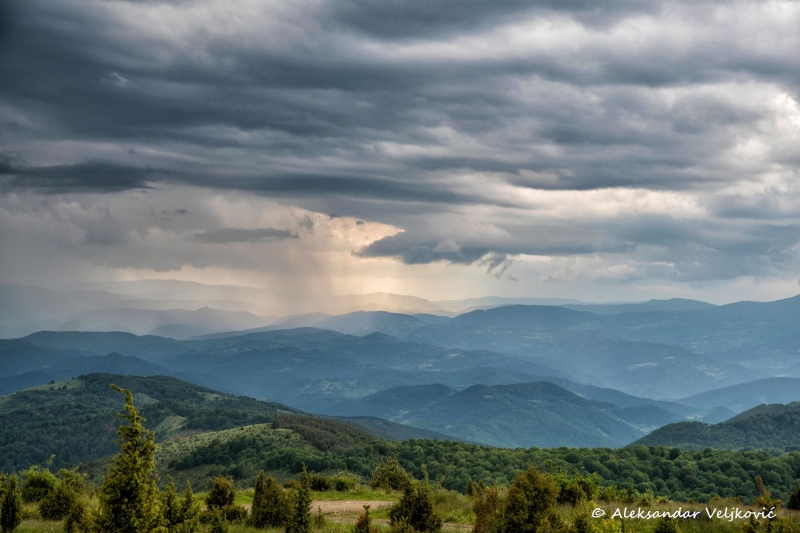 DSC_7954-Edit