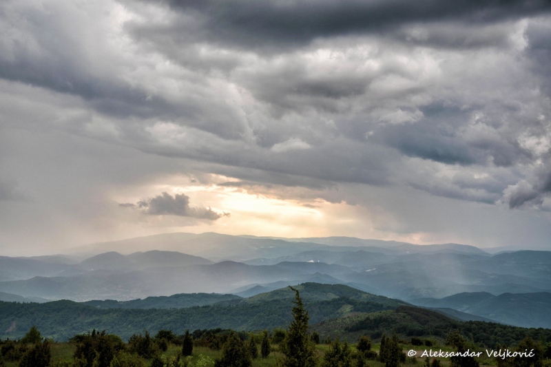 DSC_7957-Edit