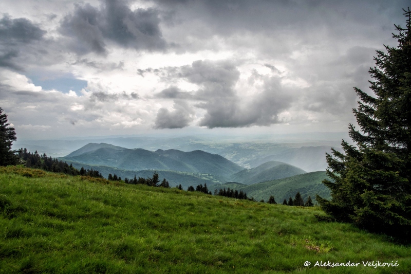 DSC_8024-Edit