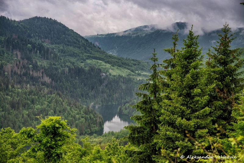 DSC_8064-Edit