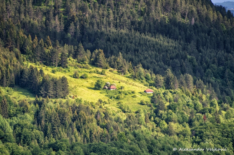DSC_8163-Edit