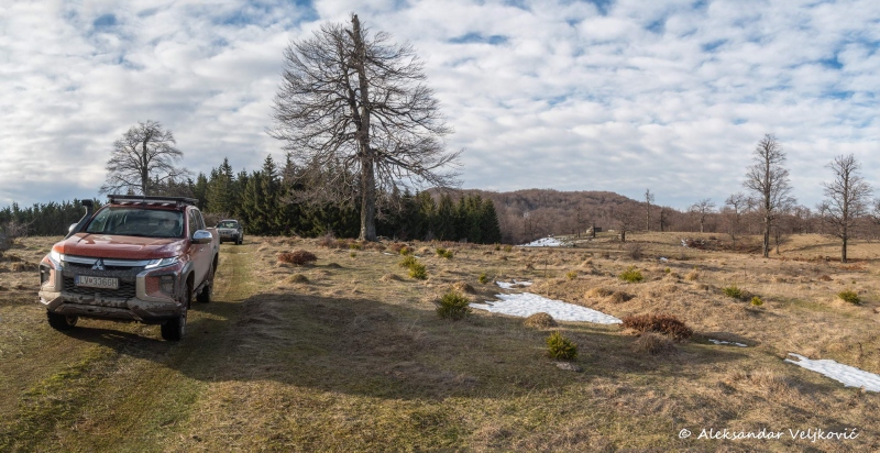 DSC_9916-Pano