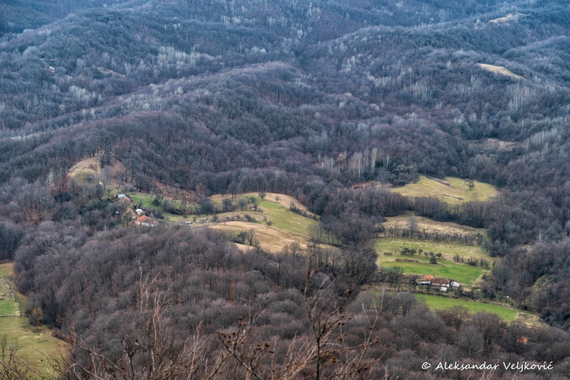 DSC_6125-Edit