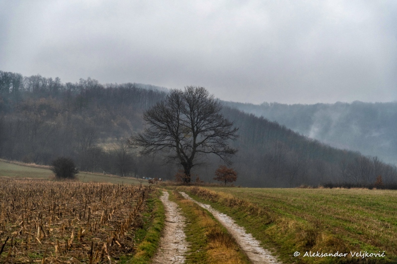 DSC_6154-Edit