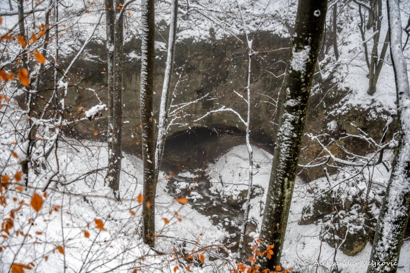 DSC_6197-Edit
