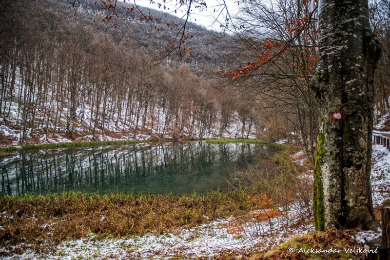 DSC_6199-Edit