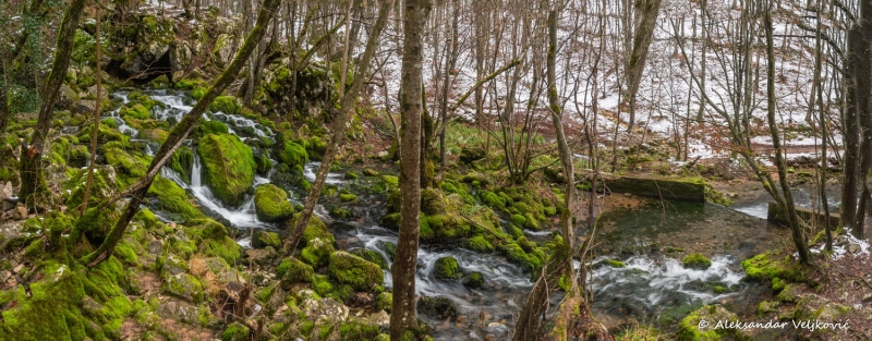 DSC_6209-Pano