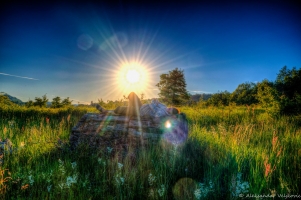 DSC523345Painterly 2
