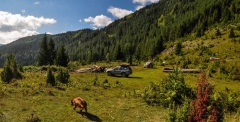 CG_2014_032