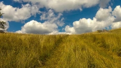 CG_2014_039