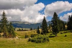CG_2014_040