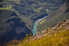 Plavetnilo Tare