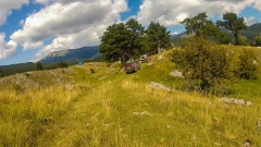 CG_2014_048