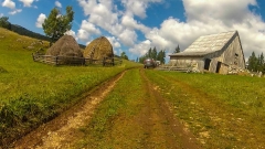 CG_2014_050