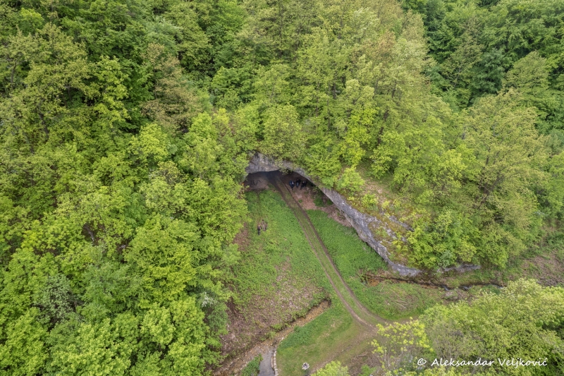 DJI_0352