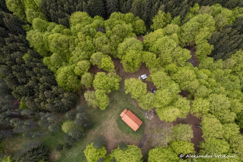 DJI_0420