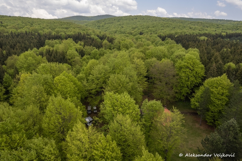 DJI_0423