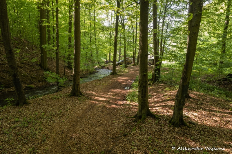 DJI_0432