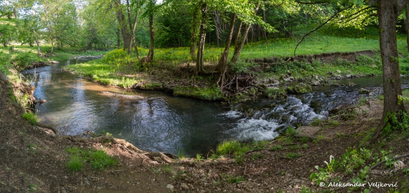 DSC_7368-Pano