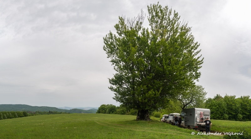 DSC_7435-Pano
