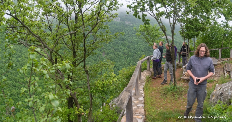 DSC_7550-Pano