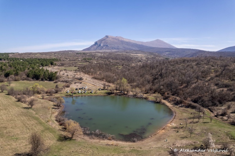 DJI_0631