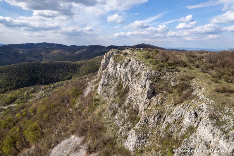 DJI_0651