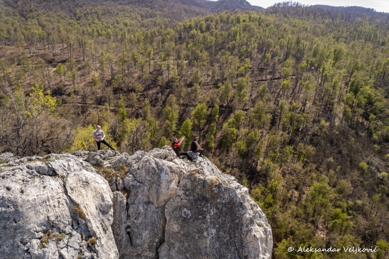 DJI_0668