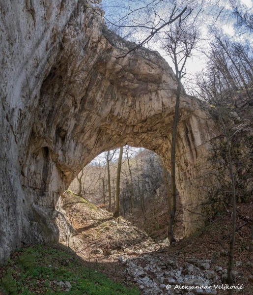 DSC_1307-Pano