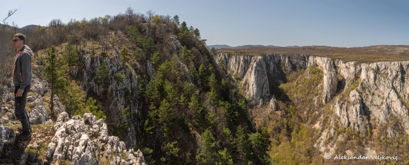 DSC_1318-Pano