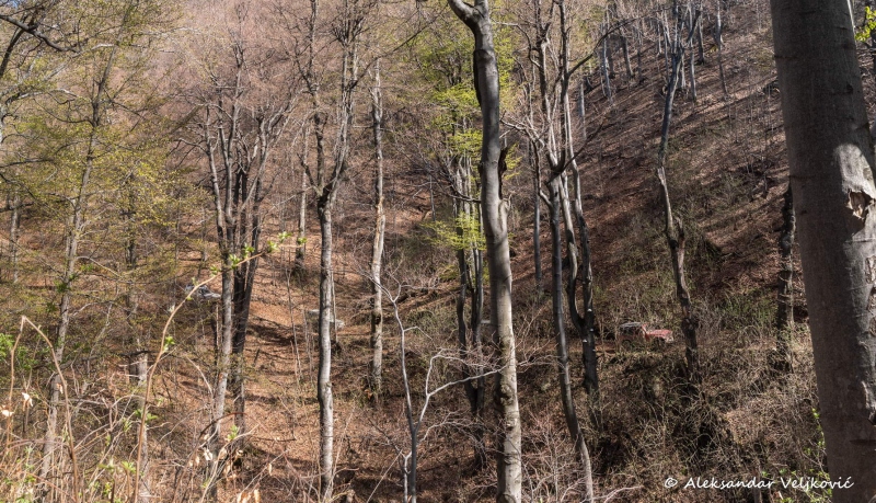 DSC_1328-Pano