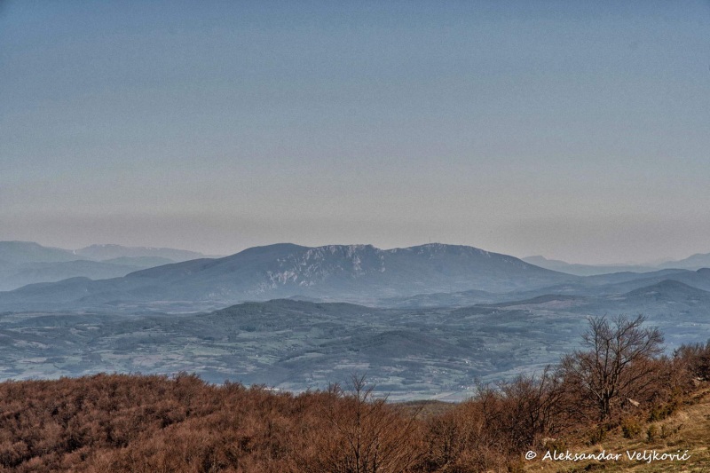 DSC_1331-Edit