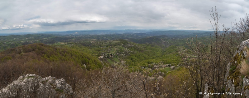 DSC_1413-Pano